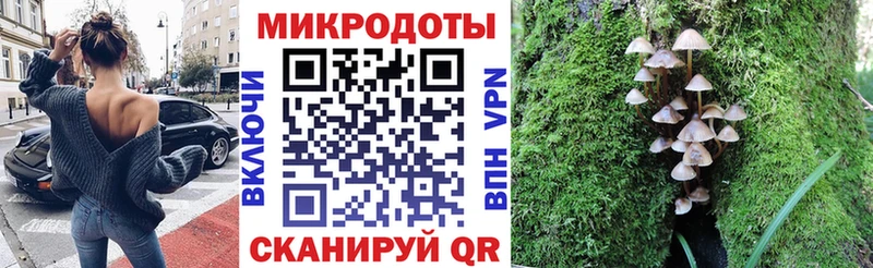 Галлюциногенные грибы ЛСД Темников
